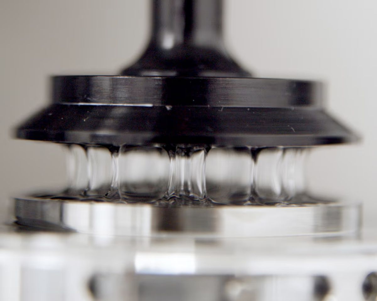 Nahaufnahme eines Rheometers: transparentes Gel zieht Fäden zwischen schwarzem Messkopf und Metallplatte