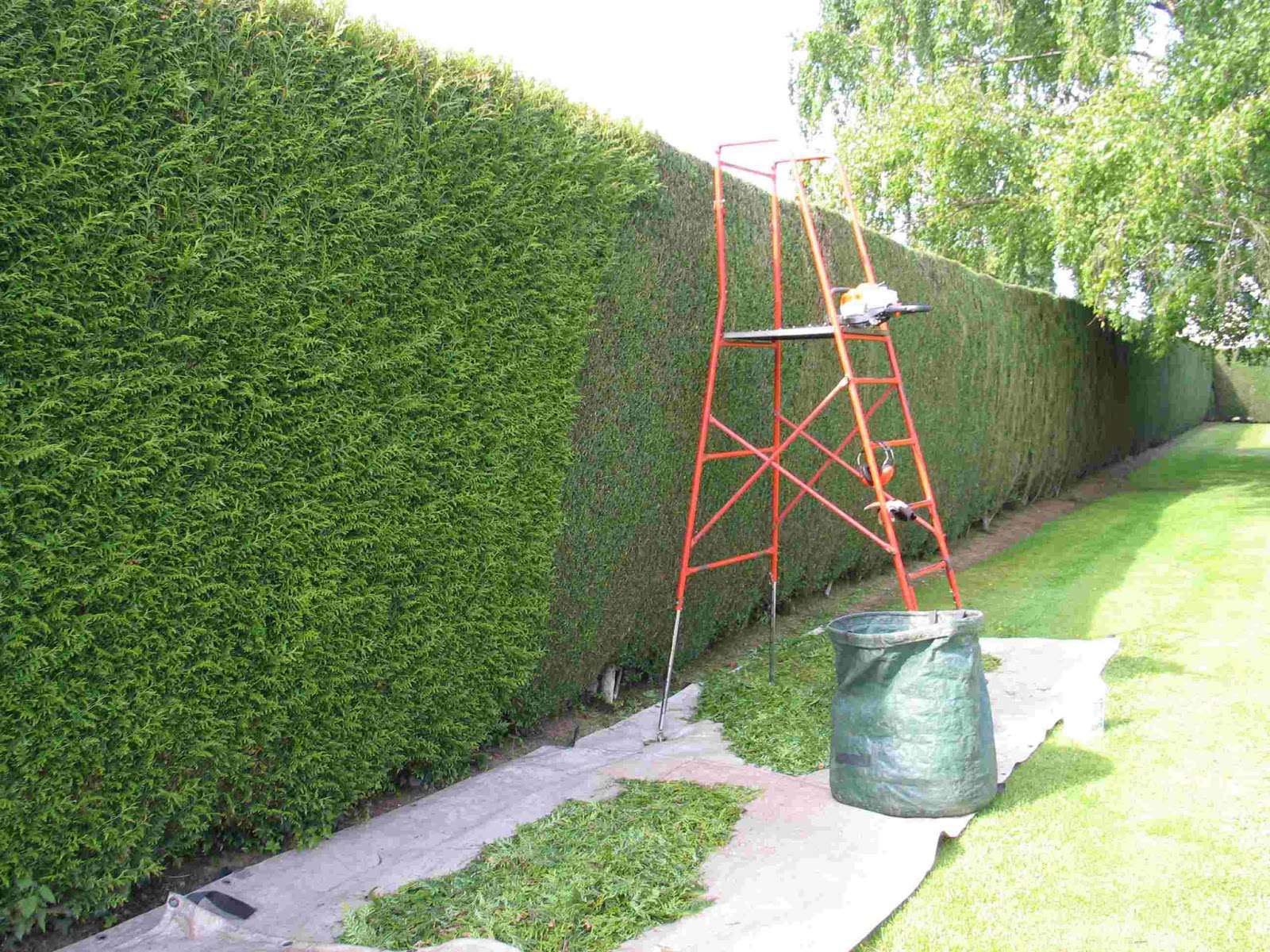 Jardin aménagé et entretenu par un paysagiste professionnel
