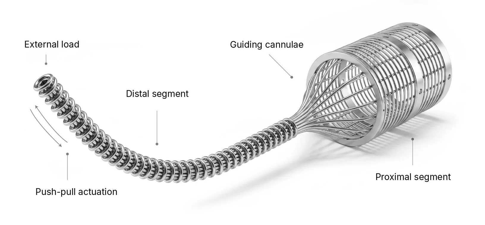 A dual continuum instrument, labelled: external load, distal segment, push-pull actuation, guiding cannulae, proximal segment
