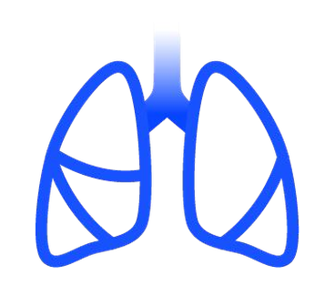 Line drawing of lungs
