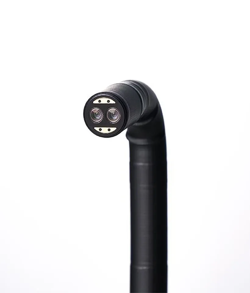 Flexible 3D endoscope