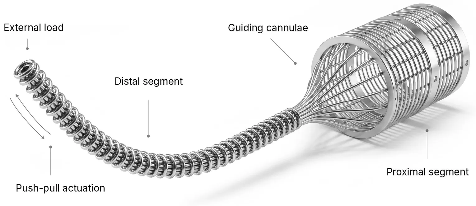 Diagram of the Dual Continuum Mechanism: guiding cannulae, distal and proximal segments, push-pull actuation and external load
