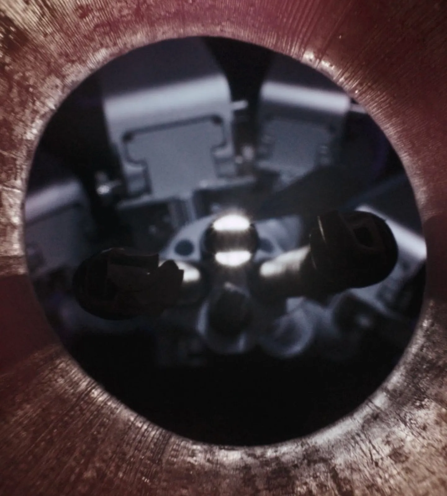 Endoscopic view through a single access port