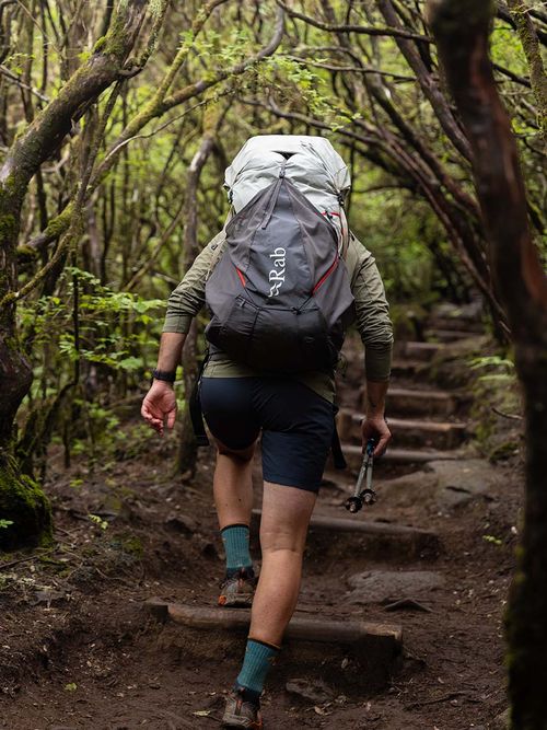 A hiker with a large backpack ascends a forest trail surrounded by lush greenery, holding trekking poles.