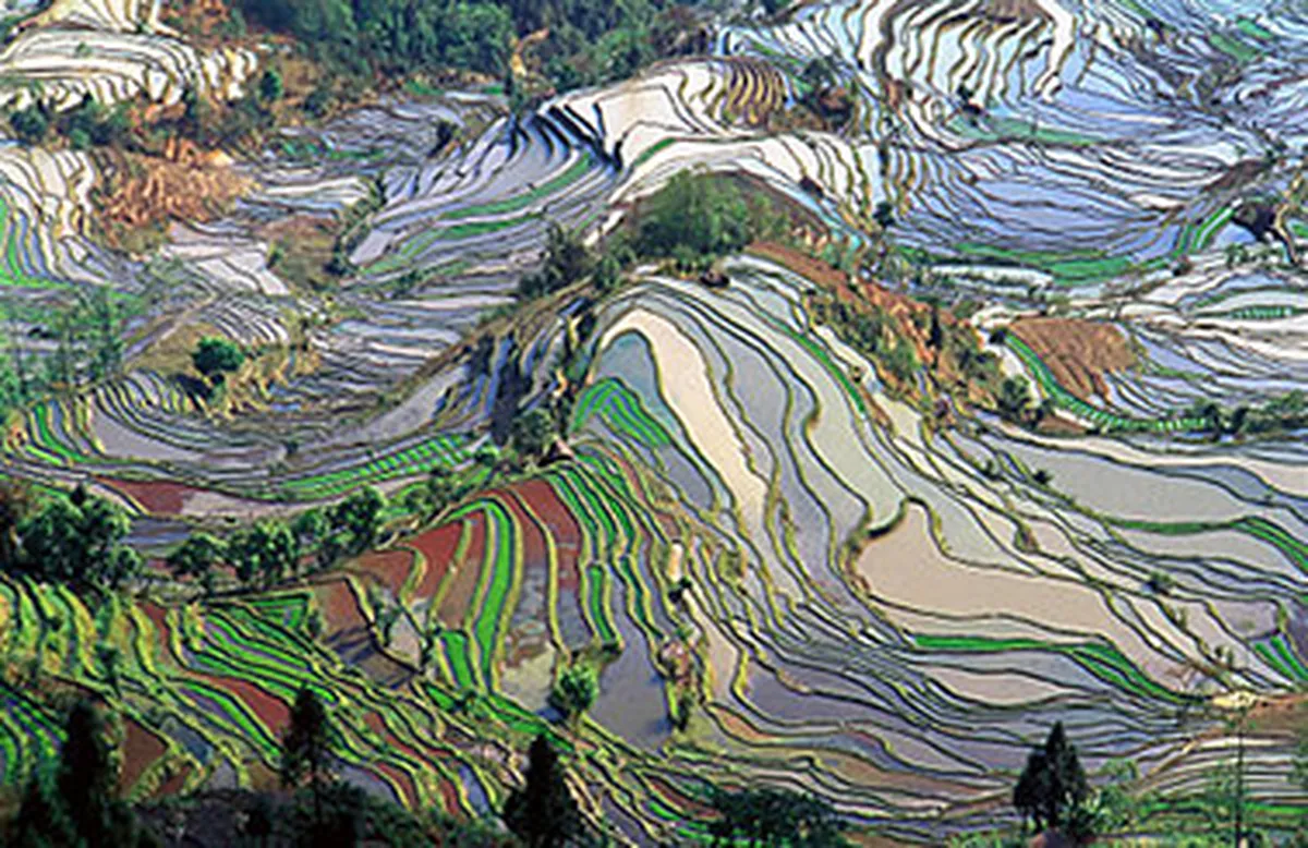 400px-Terrace_field_yunnan_china_denoised