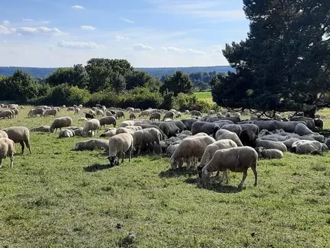 Naturerlebnisse