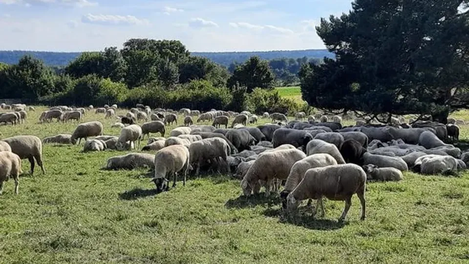 Naturerlebnisse