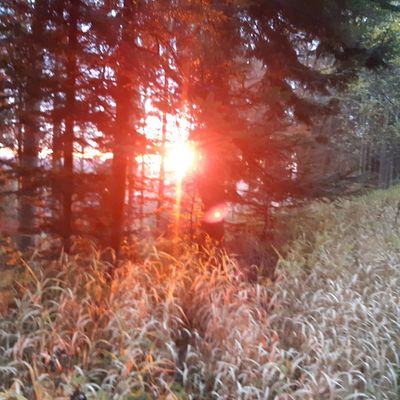 Naturerlebnisse