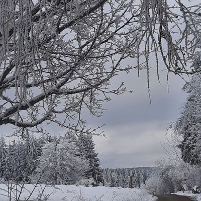 Naturerlebnisse
