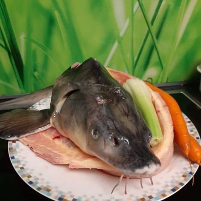 Ernährung