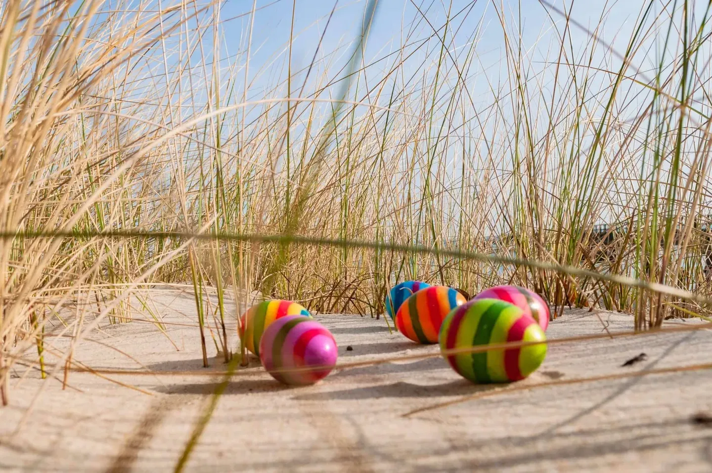 Frühlingszauber in Rostock: Ein Genuss für alle Sinne