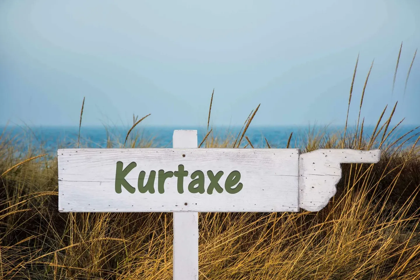 Die Rostocker Kurtaxe: Deine Eintrittskarte zu den schönsten Erlebnissen
