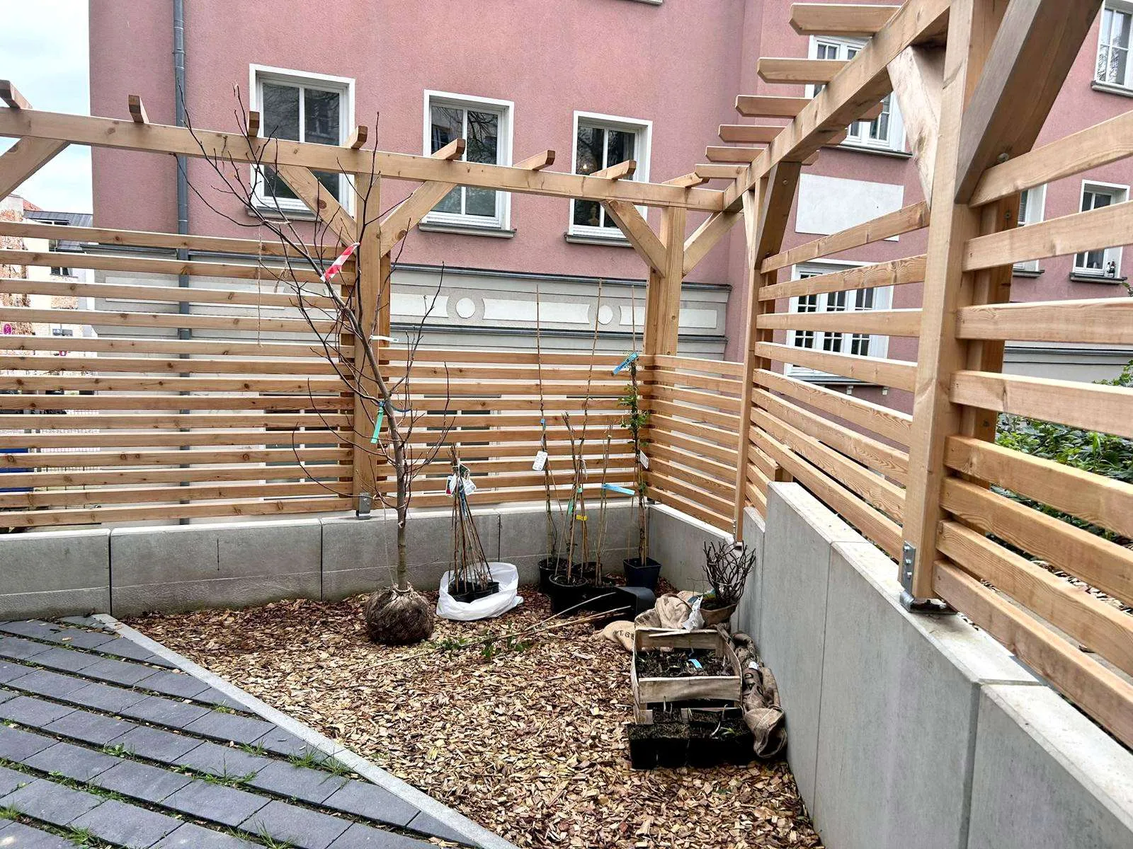 Begrünung des Hinterhofs bei The Green Rostock Apartments im April