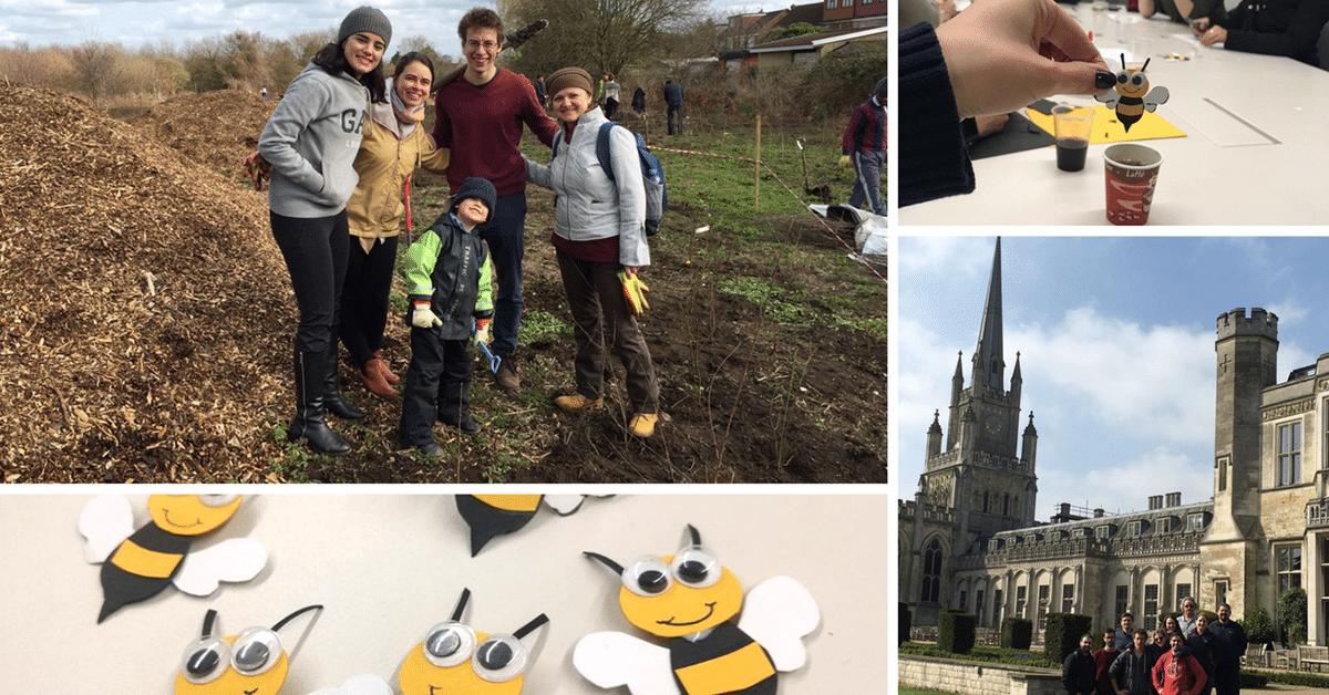 All about the birds and the bees: London MBA students do their part for the environment