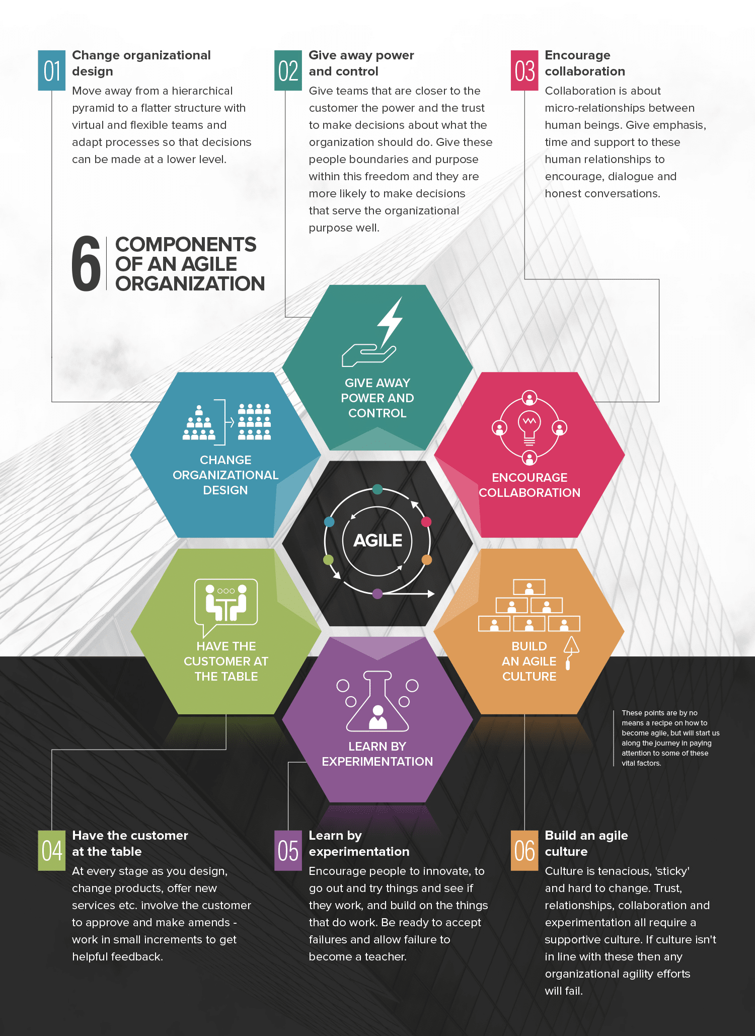 Organizational Agility