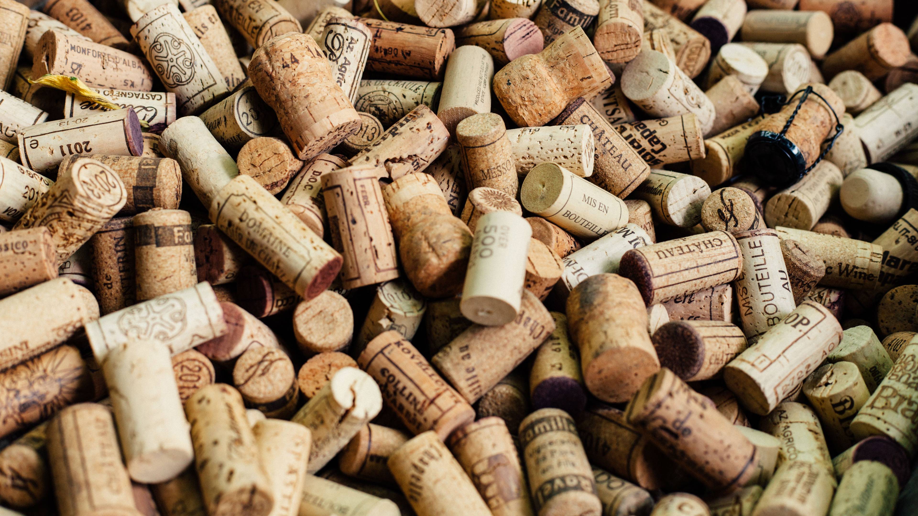 family-business-vineyard