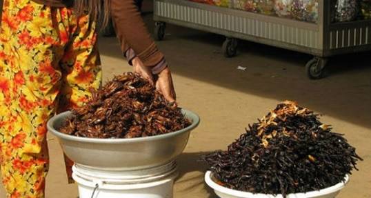 Insects for food – Solve the global food crisis, win $1 million [CNNMoney]