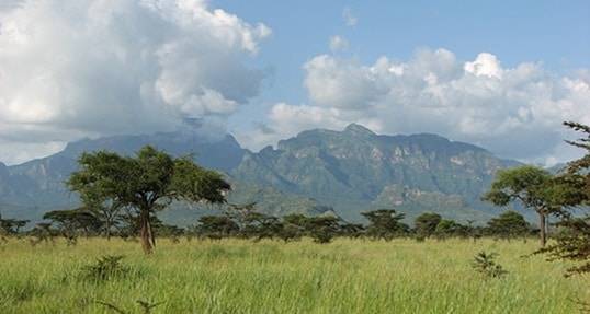 The Road Not Taken: Profiles from the Master in Social Entrepreneurship Program