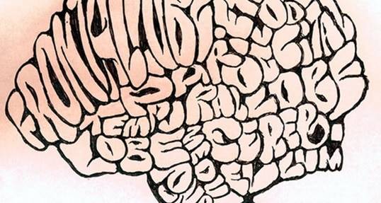 Understanding the Science of Distractions