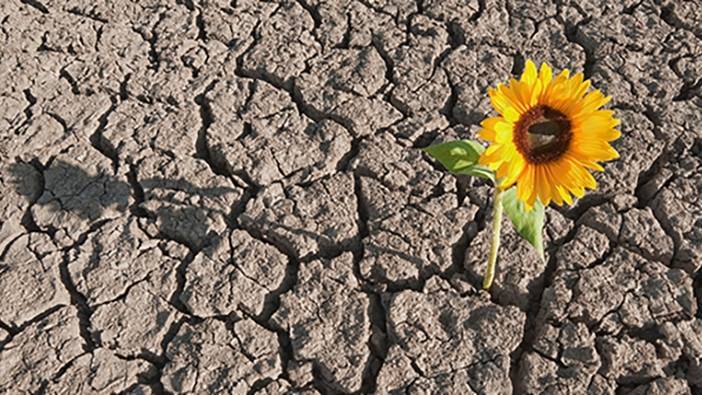 Develop your personal resilience for career success