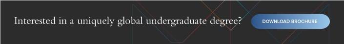Hult global undergraduate degree