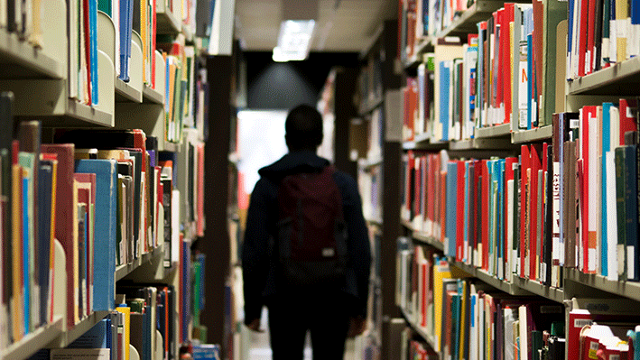 Choosing a Capstone Project: The culmination of my Hult experience