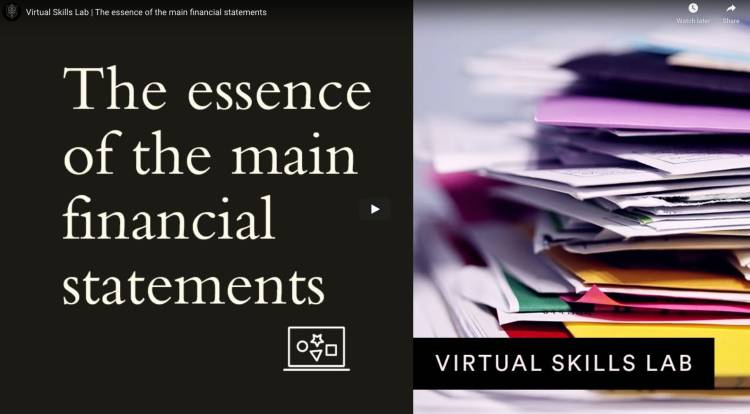 Virtual Skills Lab | The essence of the main financial statements