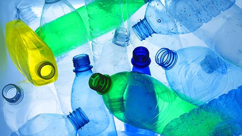 UN World Environmental Day Hult