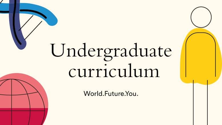 Beyond business undergraduate curriculum