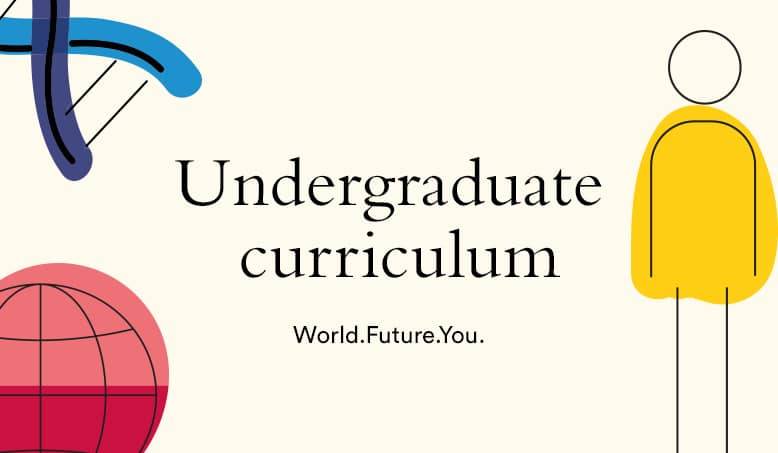Beyond business undergraduate curriculum