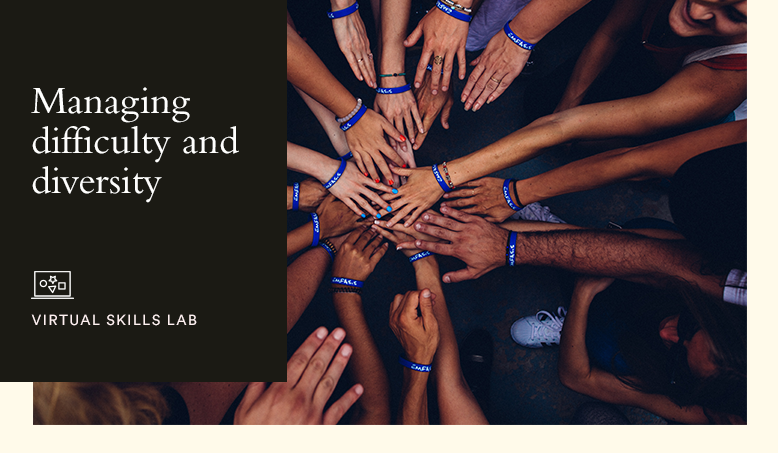 Hult Virtual Skills Lab: Managing difficulty and diversity