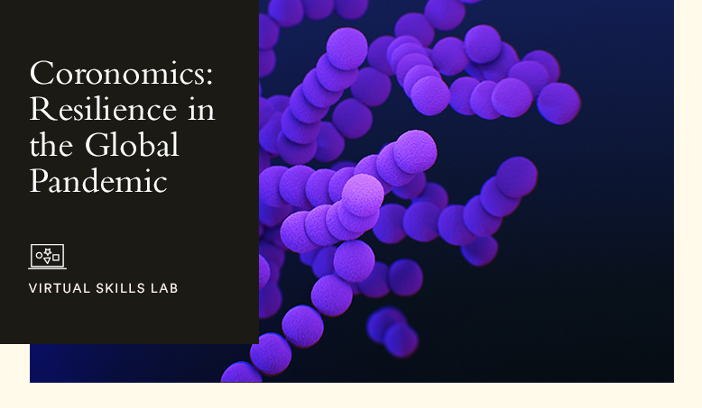 Hult Virtual Skills Lab: Coronomics: Resilience in the Global Pandemic Economy