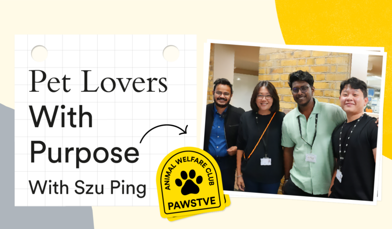 12-in-12 November: PAWSTVE—Pet Lovers with Purpose