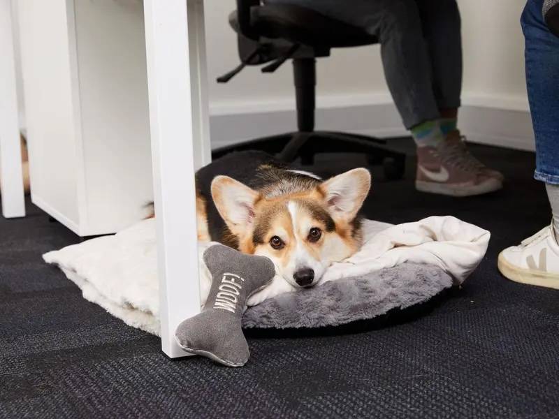 The Skills That Matter at Scale: A COO’s Perspective