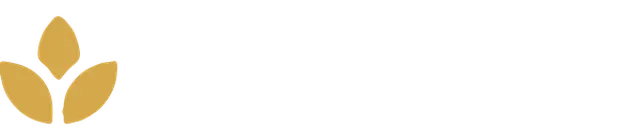 Skhole
