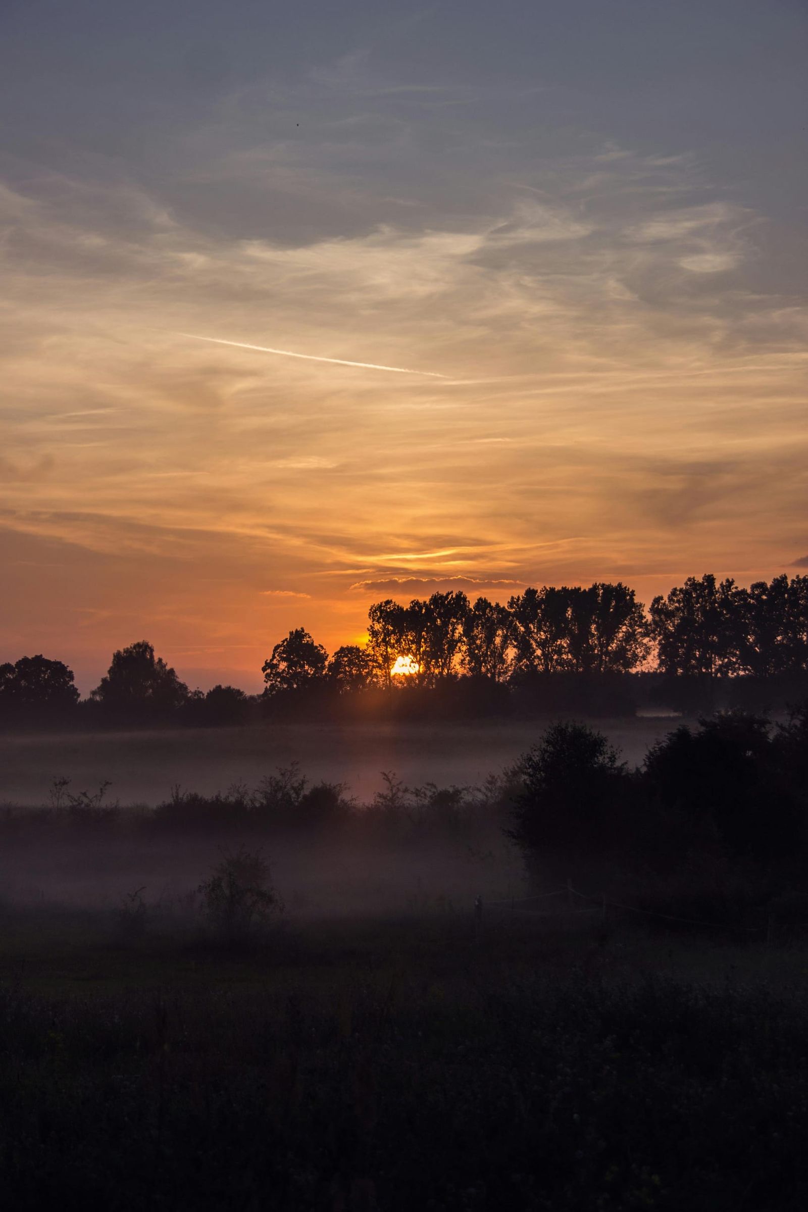 Abendstimmung mit Dusk Delight dusk-delight-abendstimmung.jpg
