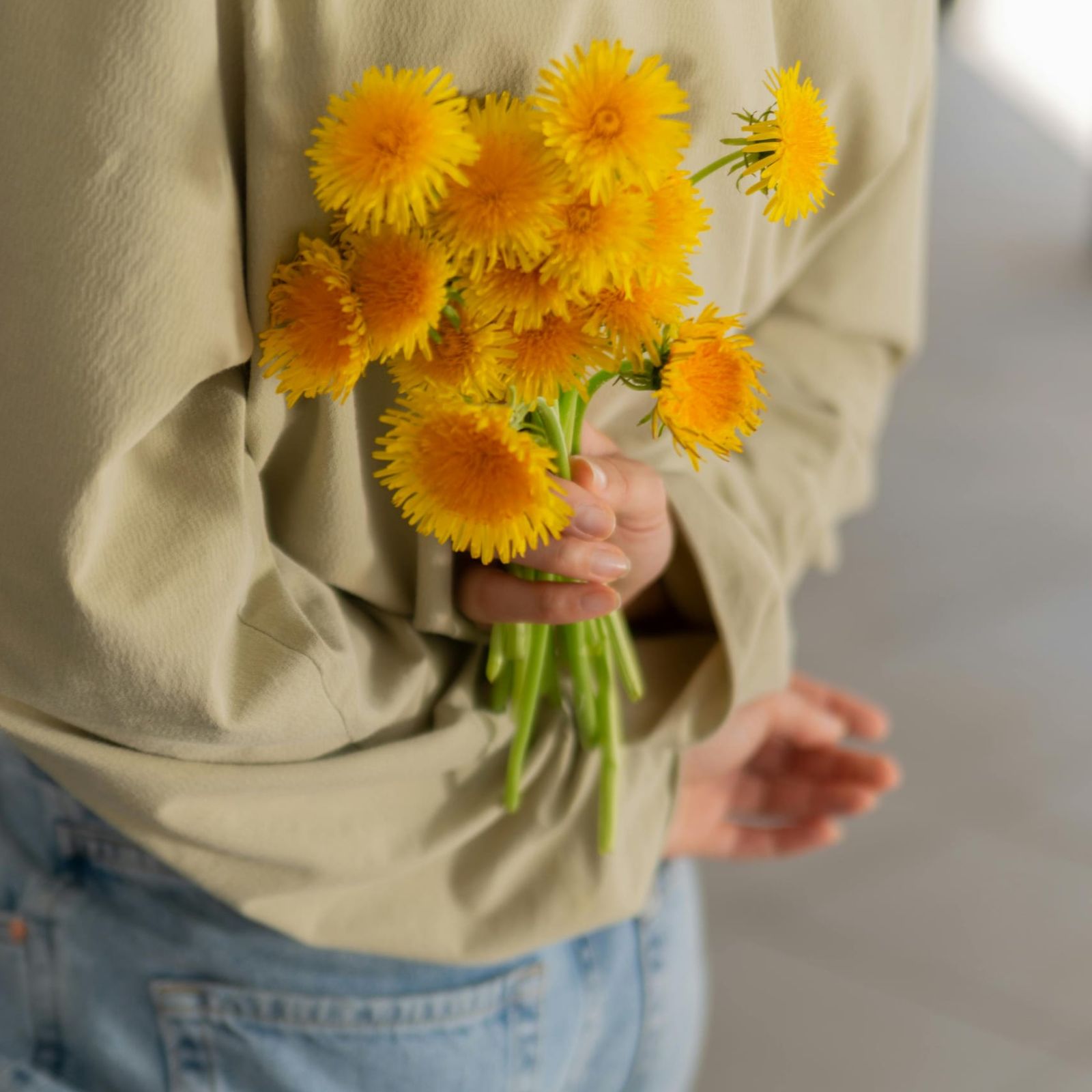 Erdung trifft Energie dandelion-ginger-lowenzahn.jpg