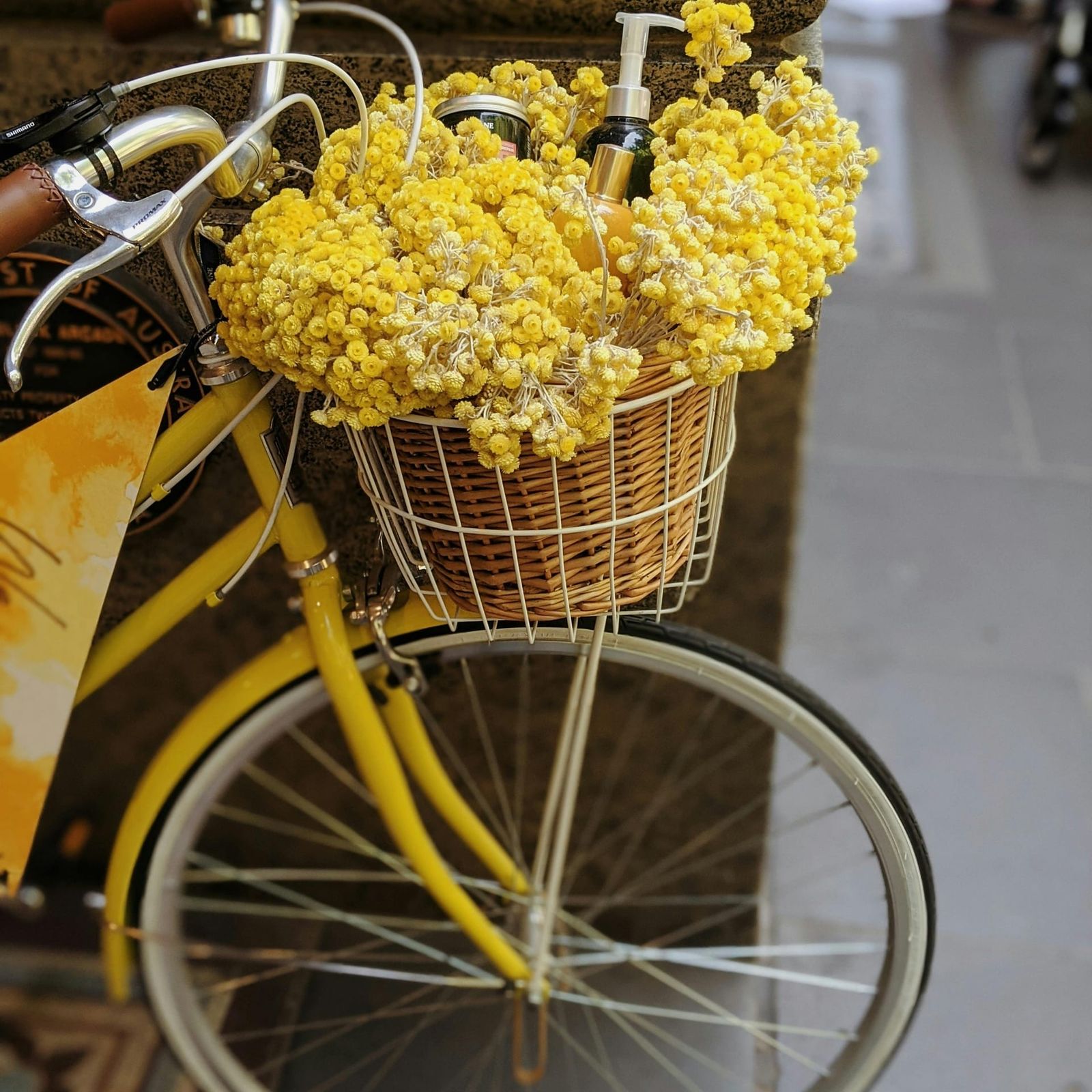 Belebender Geschmack sunrize-blumen.jpg