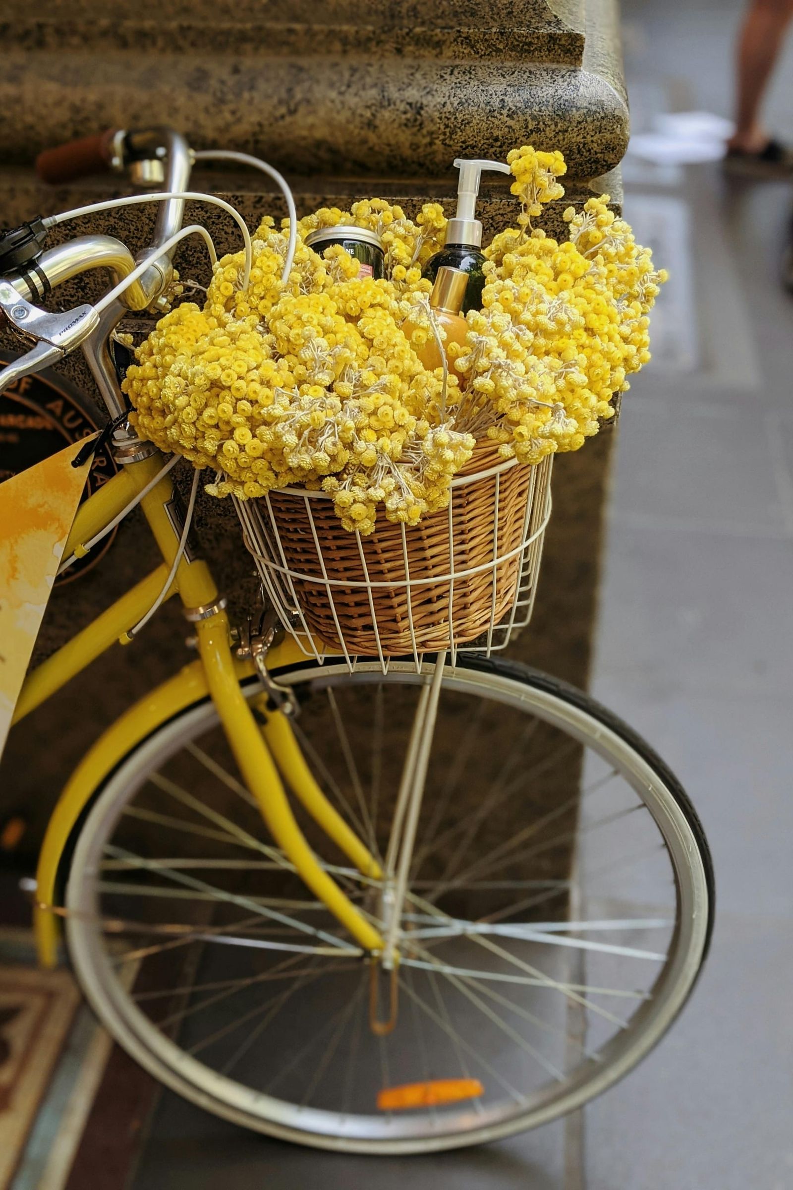 sunrize-blumen.jpg