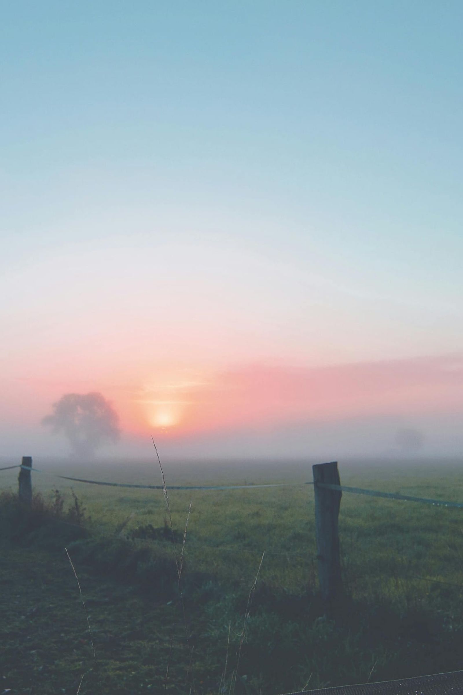Start in den Tag mit Peachy Bliss peachy-bliss-morgengrauen.jpg