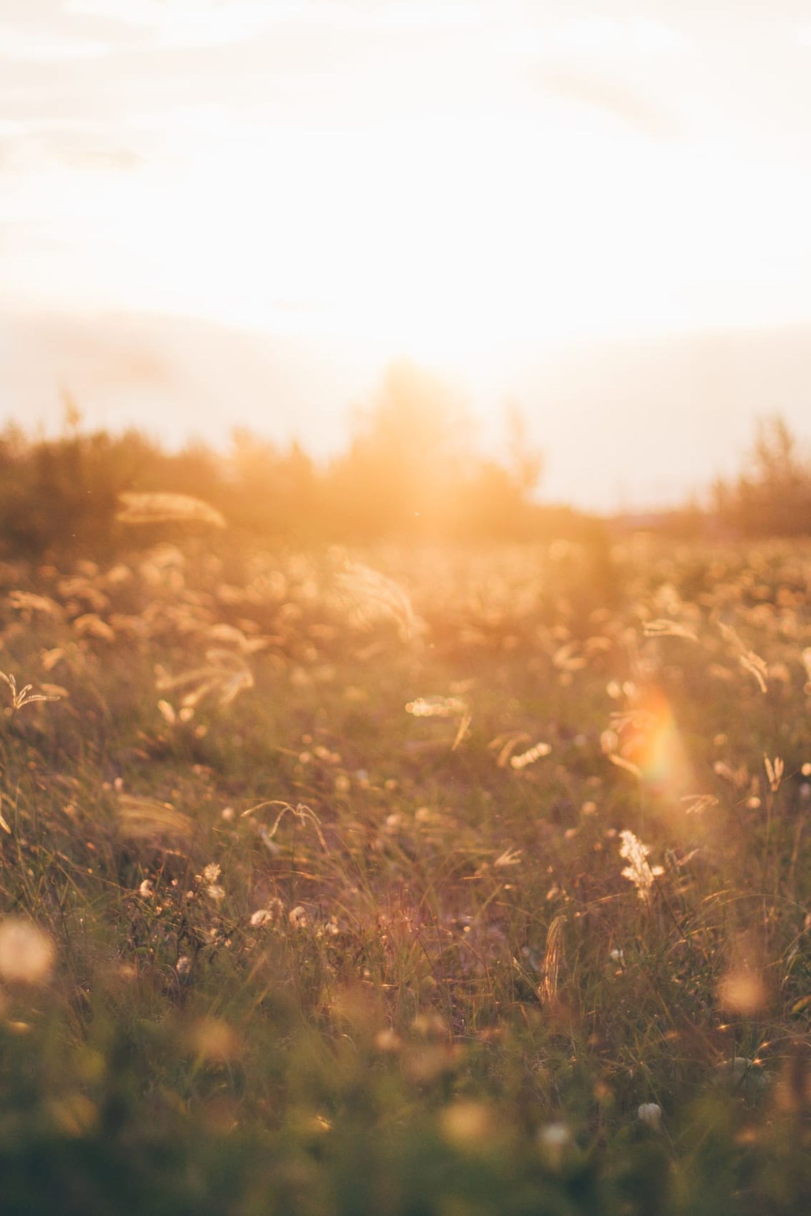 Sunrize sunrize-morgensonne.jpg