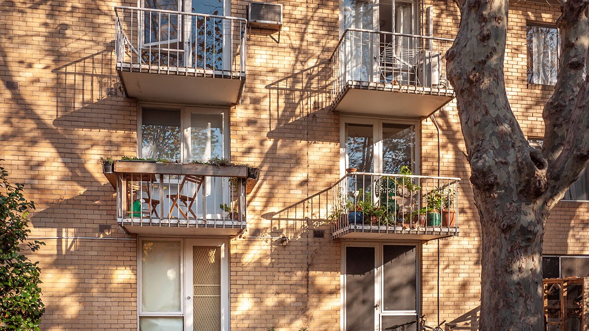 Brick building with two balconies; one with chairs and plants, the other with potted plants. Sunlit facade and a large tree in the foreground.