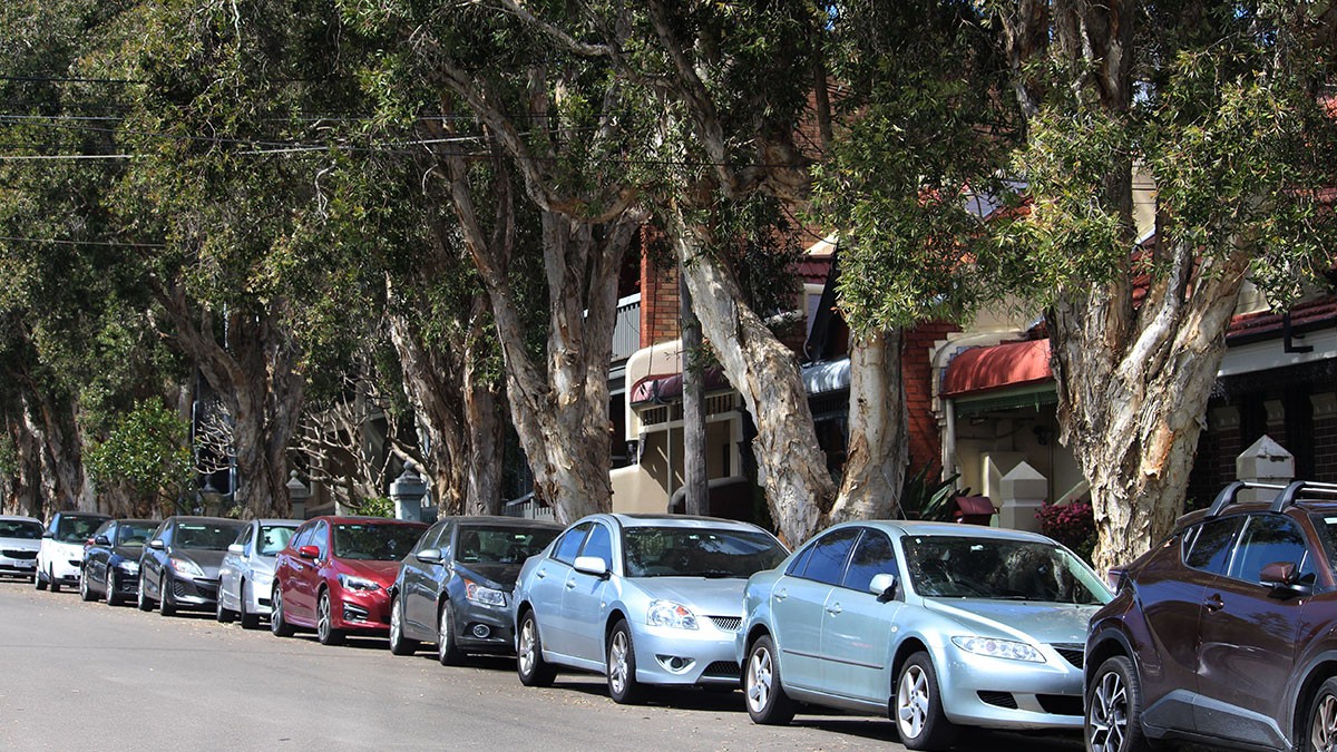 Cars parked along a street lined with tall trees and buildings in the background under a clear sky.
