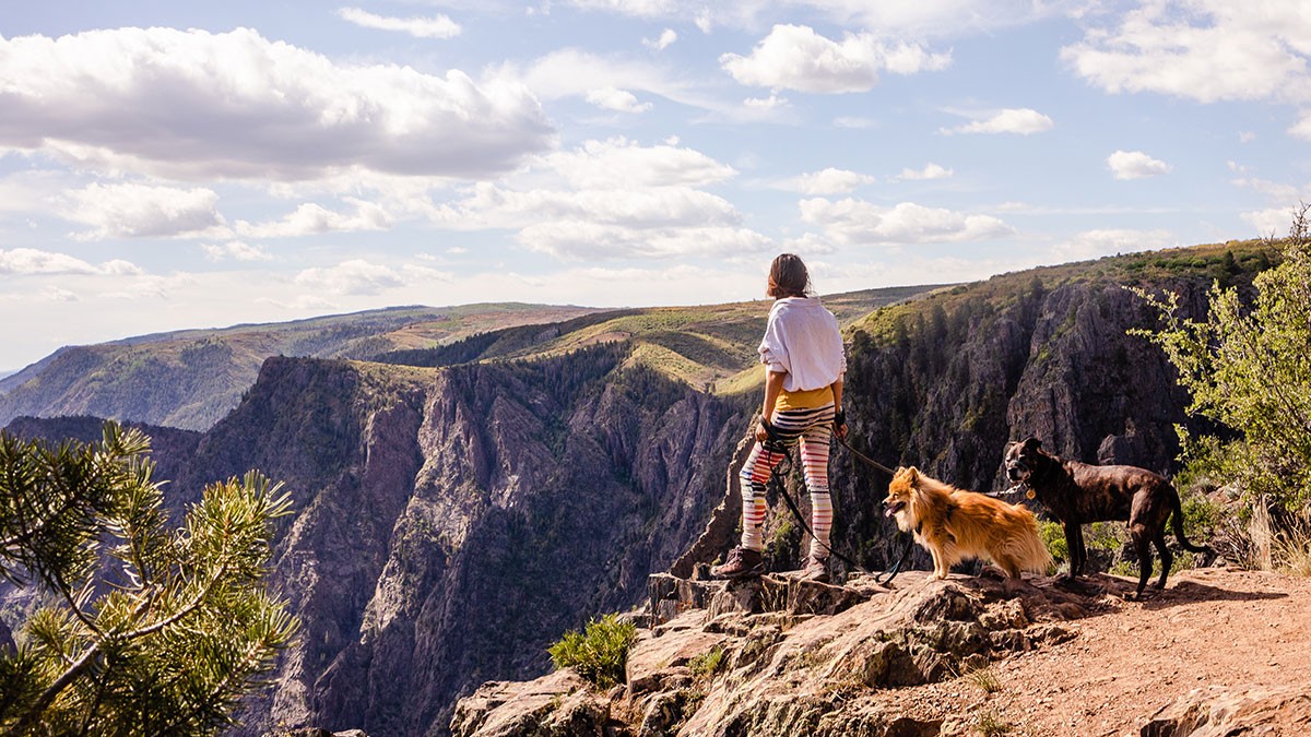Person with two dogs stands on a rocky cliff, overlooking a vast canyon landscape under a partly cloudy sky.