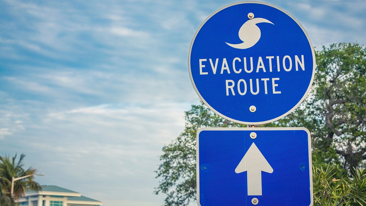 Blue evacuation route sign with a hurricane symbol and an upward arrow, against a backdrop of trees and a partly cloudy sky.