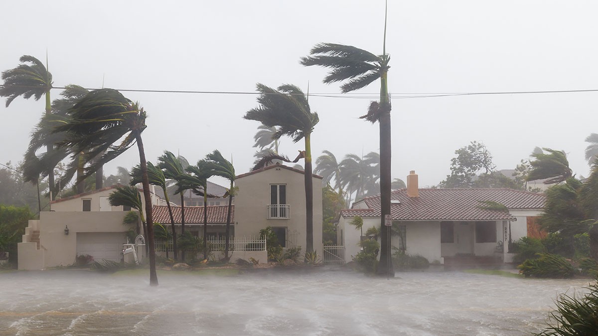 Houses surrounded by strong winds and heavy rain, with palm trees bending under the force of a storm.
