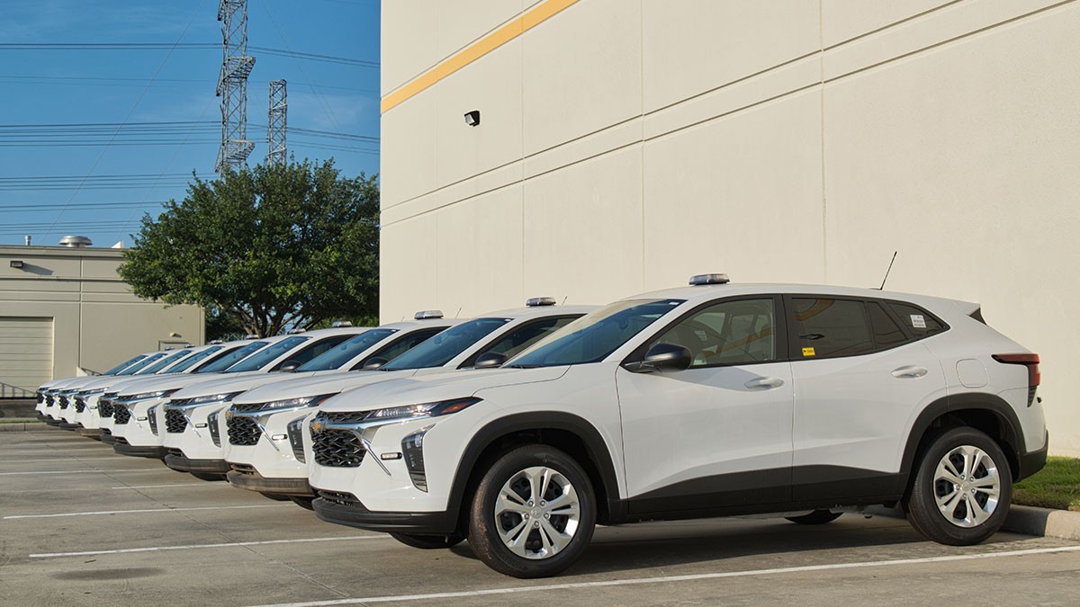 White identical cars parked next to each other