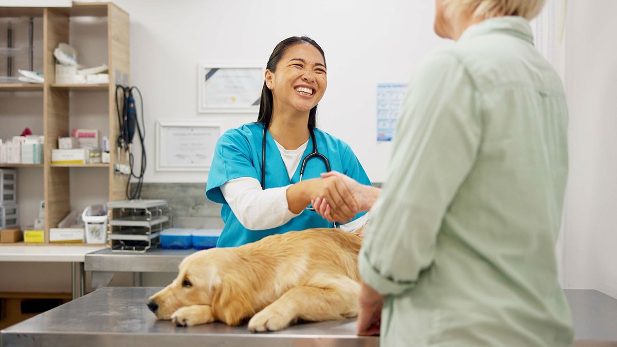 Veterinarian in blue scrubs shakes hands with a pet owner while a Golden Retriever lies on the exam table in a clinic.