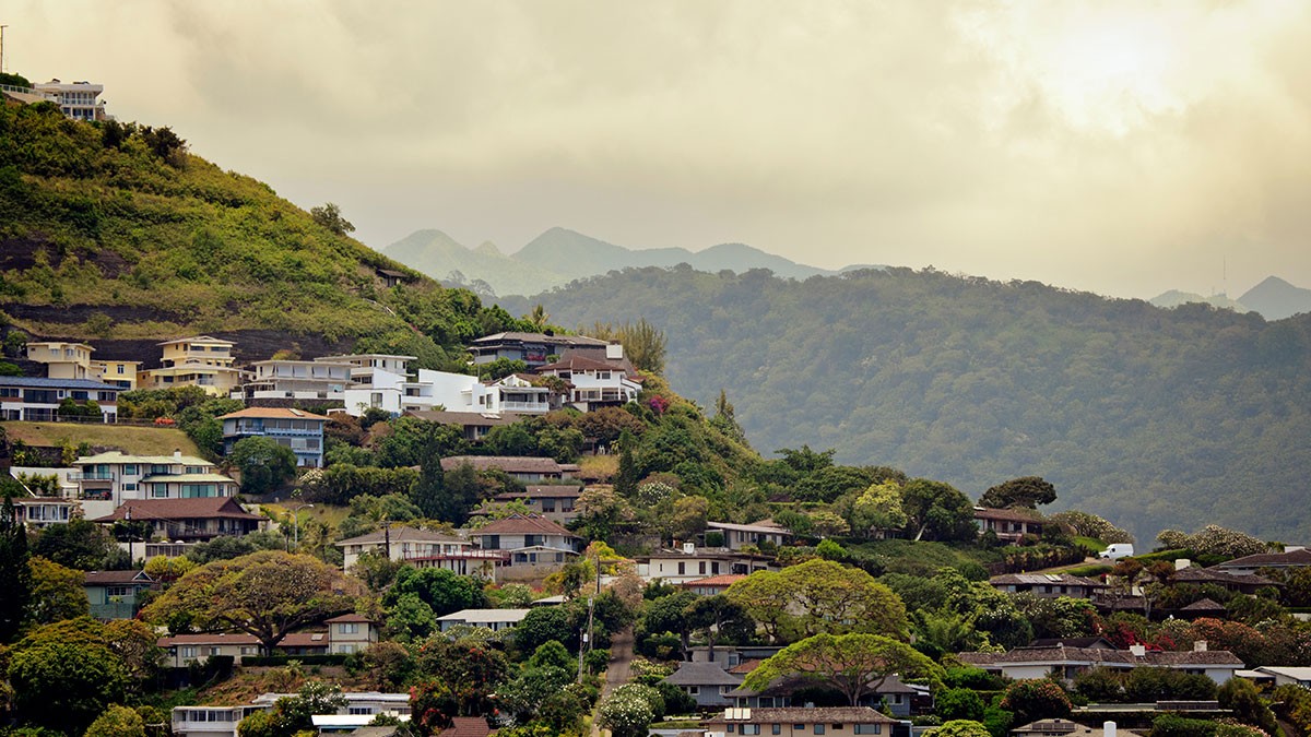 Houses nestled on a green hillside with lush vegetation and misty mountains in the background under a cloudy sky.