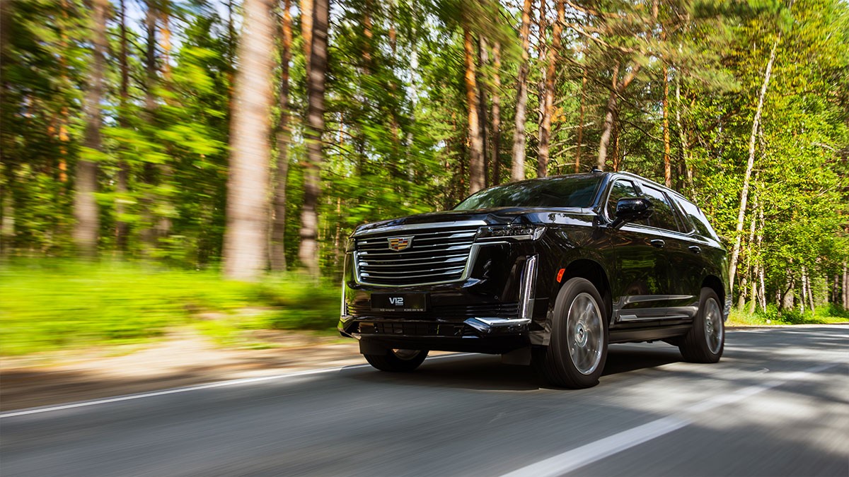 A black SUV drives along a forest road, surrounded by lush green trees under a bright sky.